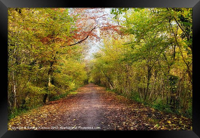 Pathway through Sunlit Autumn Woodland Trees Framed Print by Natalie Kinnear