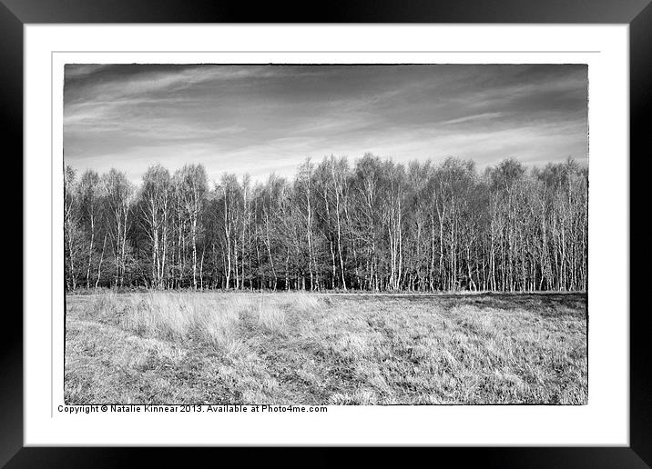 Ashdown Forest Trees in a Row Framed Mounted Print by Natalie Kinnear