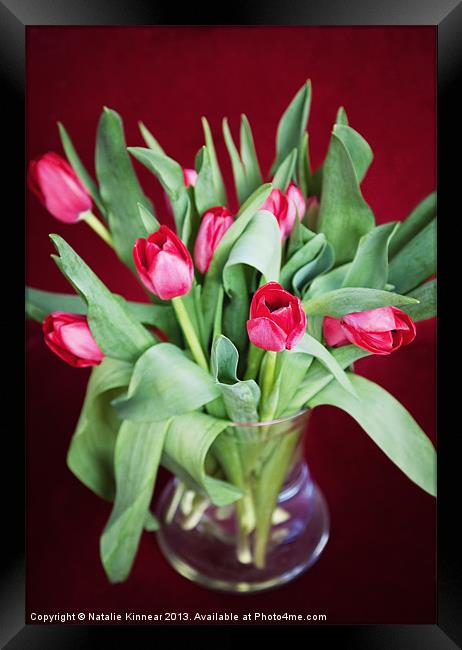 Vase of Tulips Framed Print by Natalie Kinnear