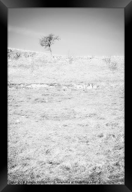 Little Tree on the Hill - Black and White Framed Print by Natalie Kinnear