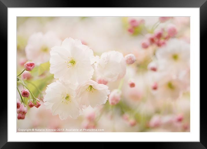 Pretty Blossom Framed Mounted Print by Natalie Kinnear