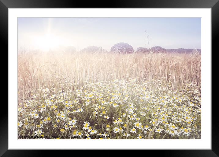 Sunshine over the Fields Framed Mounted Print by Natalie Kinnear