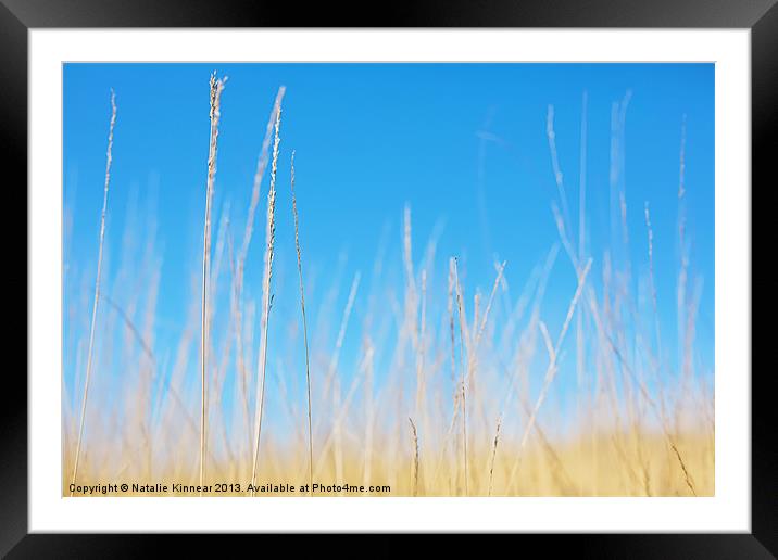 Golden Grasses on a Sunny Day Framed Mounted Print by Natalie Kinnear