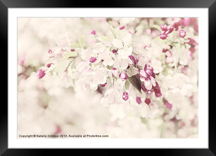 Dreaming of Spingtime Blossom Framed Mounted Print by Natalie Kinnear