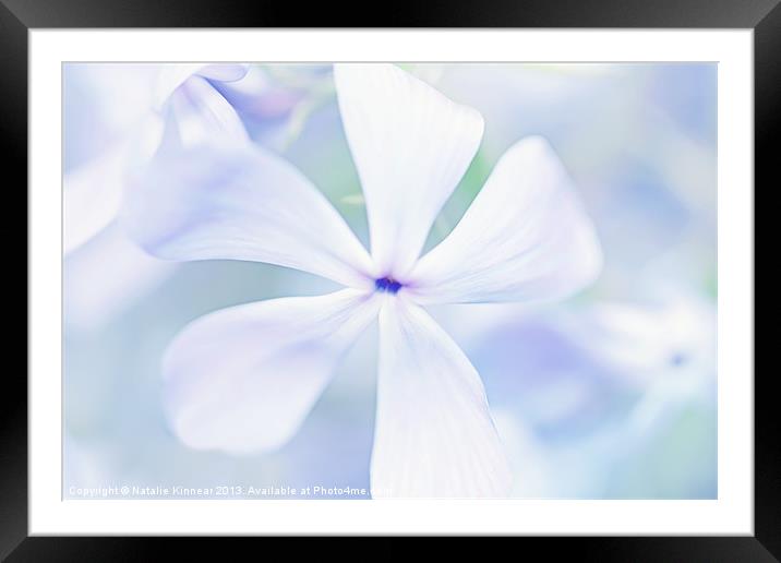 Floral in Pastel Tones of Blue Framed Mounted Print by Natalie Kinnear