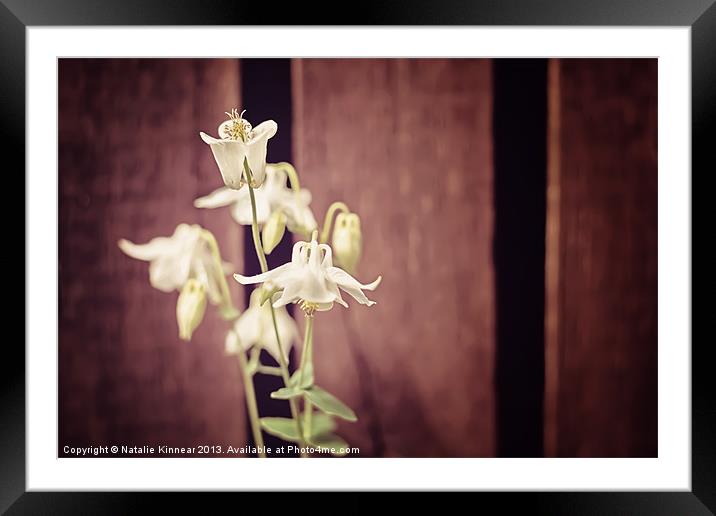 White Flowers against Dark Wooden Fence Framed Mounted Print by Natalie Kinnear