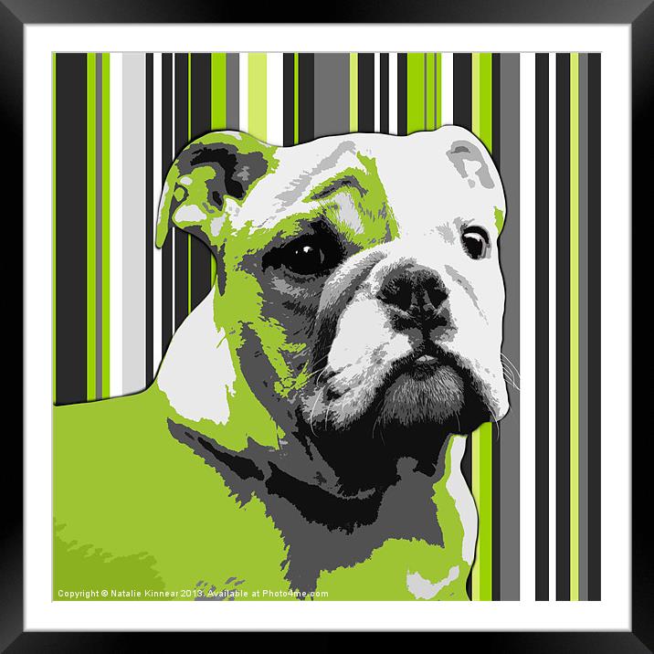 English Bulldog Puppy Abstract Framed Mounted Print by Natalie Kinnear