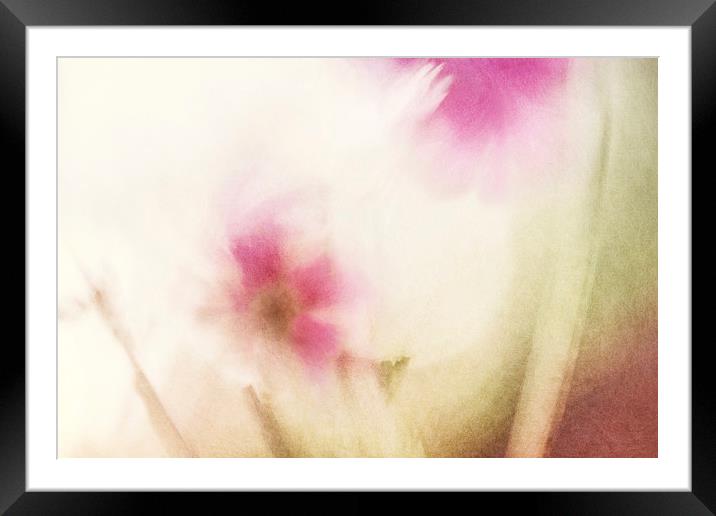 Dream Flower Abstract 1 of 2 Framed Mounted Print by Natalie Kinnear
