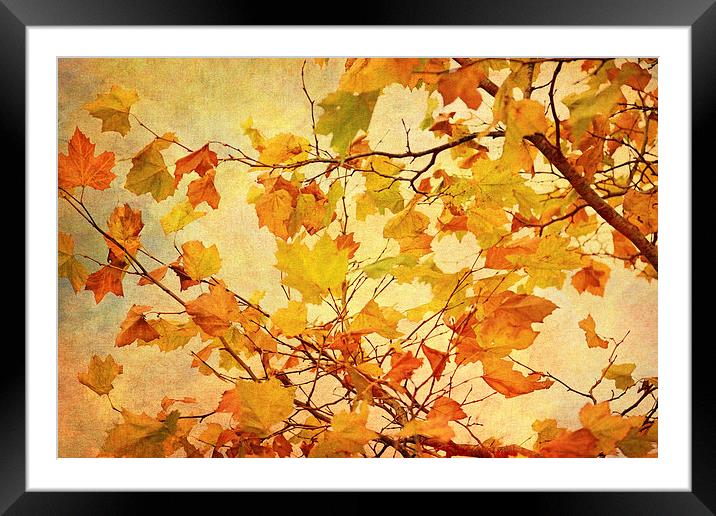 Autumn Leaves with Texture Effect Framed Mounted Print by Natalie Kinnear