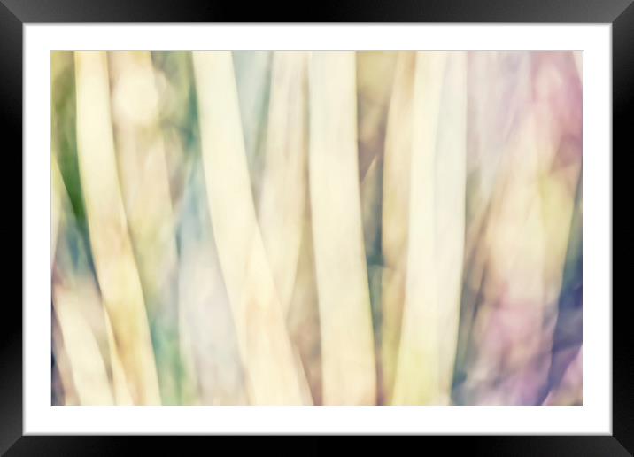 Pastel Forest Wild Grasses Photographic Abstract Framed Mounted Print by Natalie Kinnear