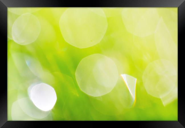 Green Abstract - Dewdrops in the Sunlit Grass Framed Print by Natalie Kinnear