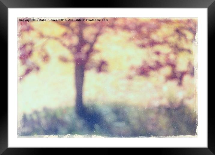 Tree From Summer Time Past - Natalie Kinnear Photo Framed Mounted Print by Natalie Kinnear