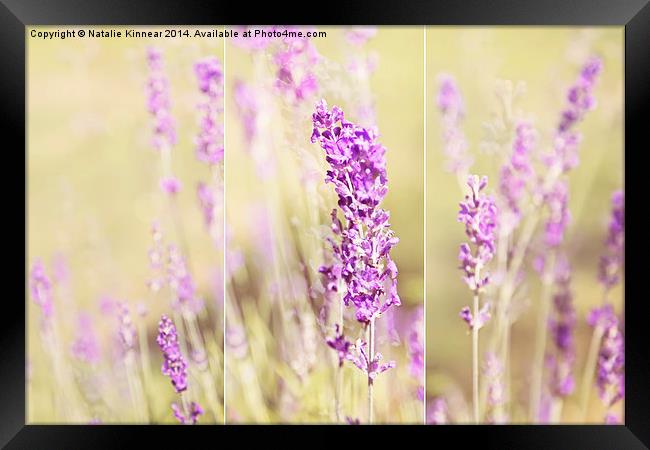 Summer Time Flowers Peaceful Moments Framed Print by Natalie Kinnear