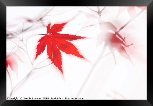 Maple Leaf Abstract 2 Framed Print by Natalie Kinnear
