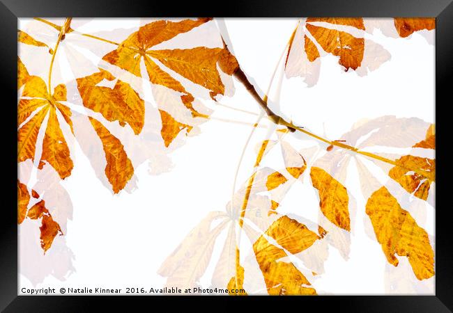 Autumn Leaves Abstract Framed Print by Natalie Kinnear