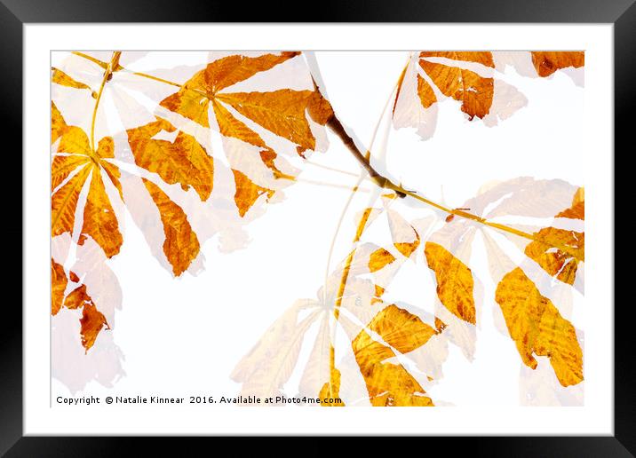 Autumn Leaves Abstract Framed Mounted Print by Natalie Kinnear