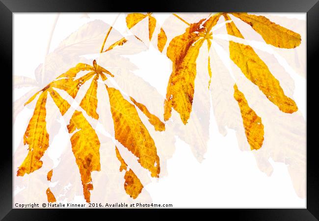 Autumn Leaves Abstract 2 Framed Print by Natalie Kinnear