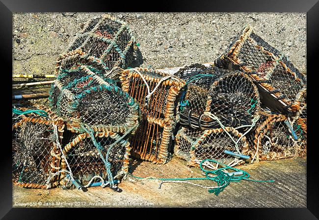 Lobster Pots Framed Print by Jane McIlroy