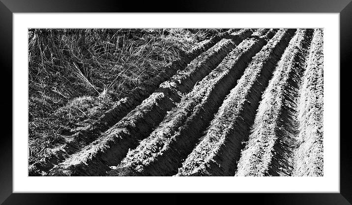 Ploughed Field Black and White Framed Mounted Print by Jane McIlroy