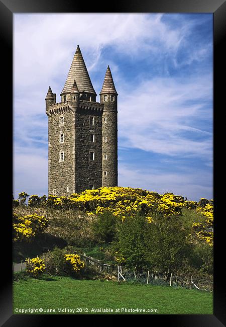 Scrabo Tower, Newtownards, County Down Framed Print by Jane McIlroy