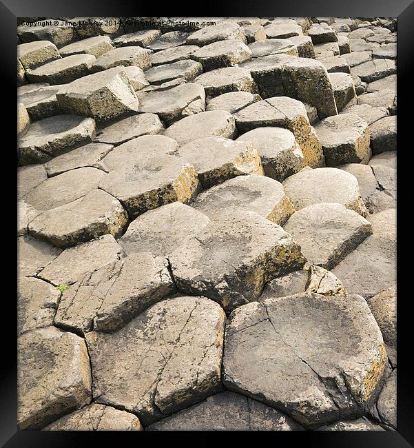 Giants Causeway Framed Print by Jane McIlroy