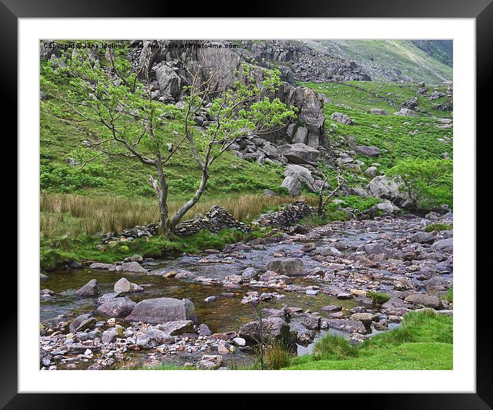 Mountain Stream Framed Mounted Print by Jane McIlroy