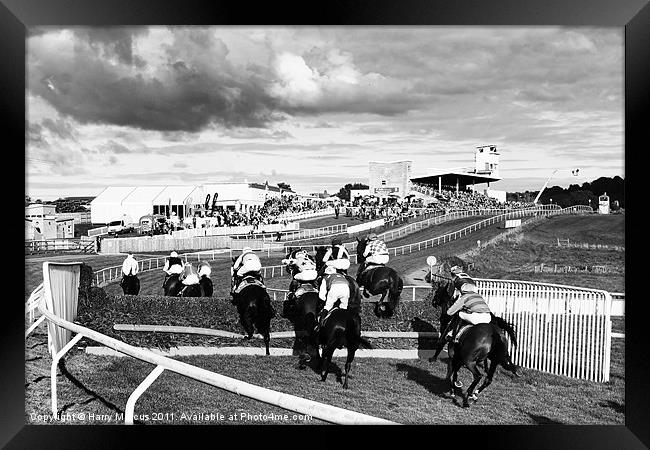 Horse Racing at Downpatrick Framed Print by Harry Marcus