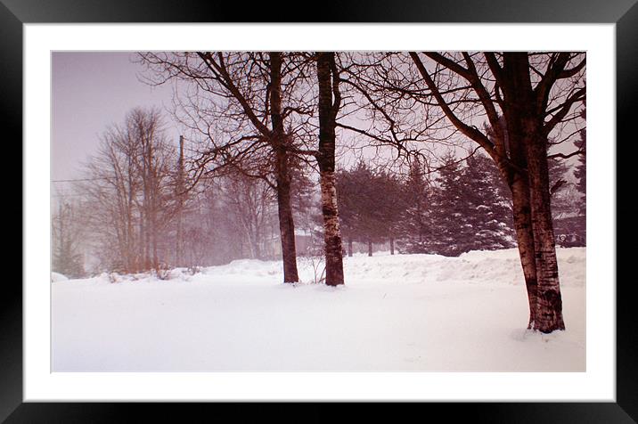 A White Winter's Blanket Framed Mounted Print by Faith Comeau
