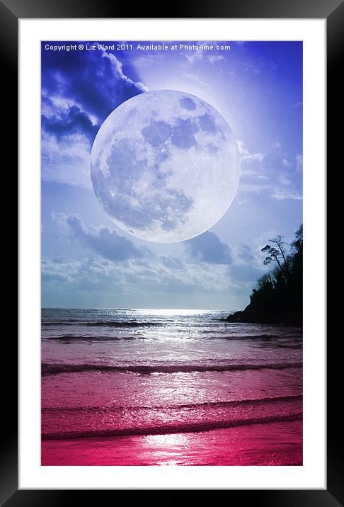 Crimson Moonlight Framed Mounted Print by Liz Ward