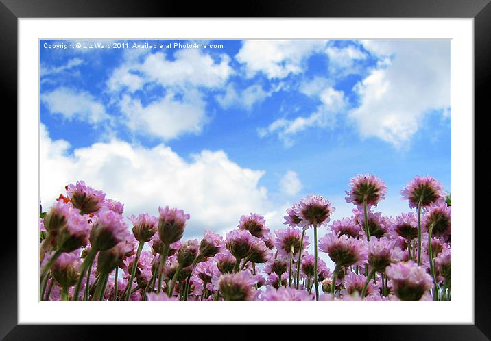 Pretty in Pink Framed Mounted Print by Liz Ward