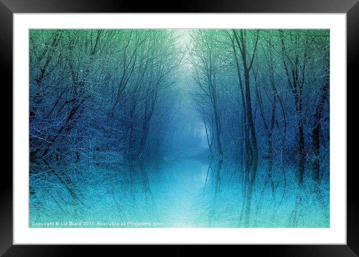 Moonlight Misty Pool Framed Mounted Print by Liz Ward