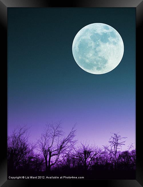 Once in a Blue Moon Framed Print by Liz Ward