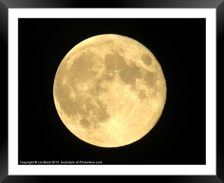 Big Full Moon Framed Mounted Print by Liz Ward