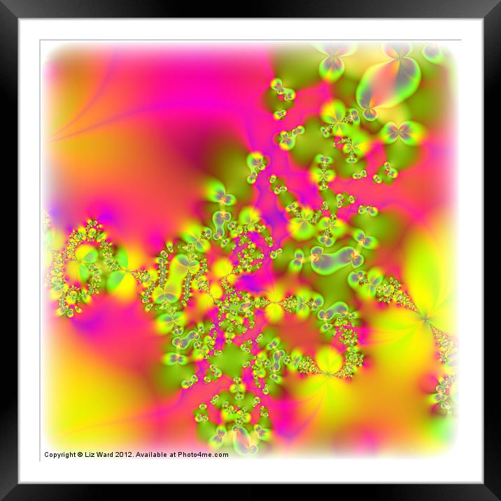 Flowery Fractals Framed Mounted Print by Liz Ward