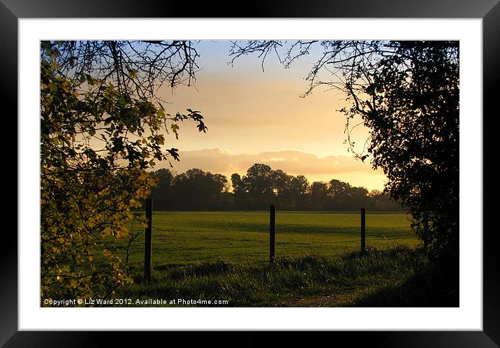 Mellow Autumn Sun Framed Mounted Print by Liz Ward