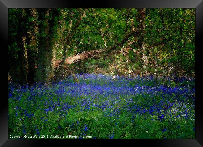 Bluebell in abstract Framed Print by Liz Ward
