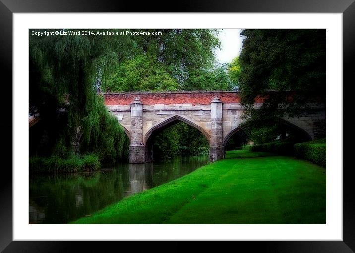 Old Eltham Bridge Framed Mounted Print by Liz Ward