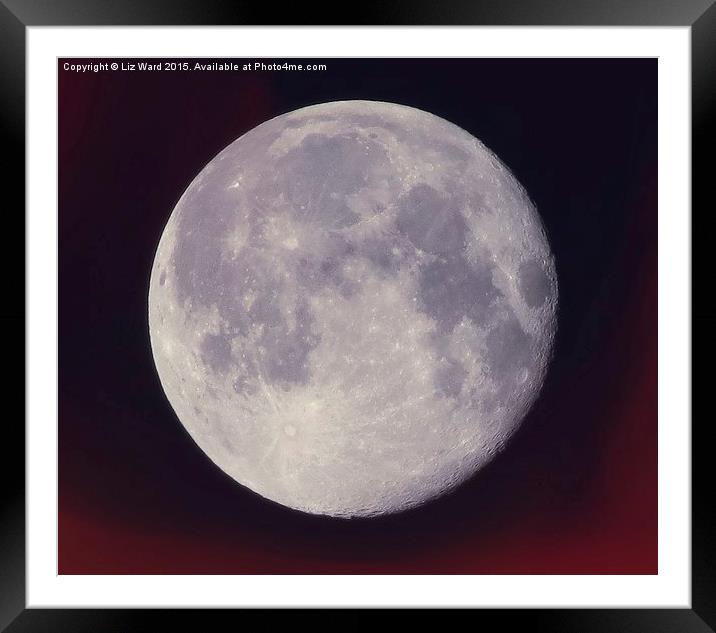  Full Moon Framed Mounted Print by Liz Ward