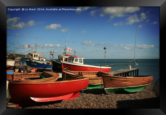 Colourful Fishing Boats Framed Print by Liz Ward