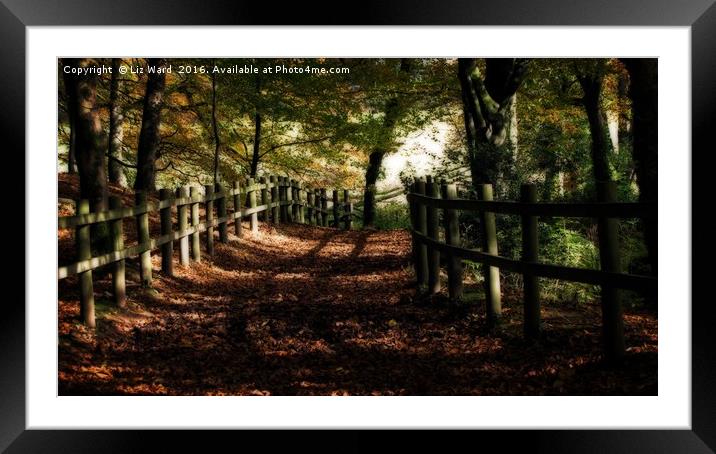 Forest path in Autumn Framed Mounted Print by Liz Ward