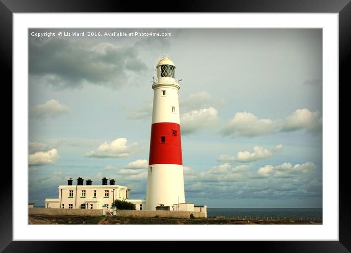 Portland Bill Lighthouse Framed Mounted Print by Liz Ward