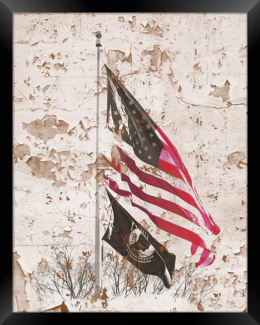 Washington DC Flags Framed Print by Cliff Kramer