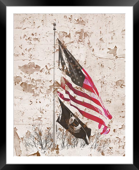 Washington DC Flags Framed Mounted Print by Cliff Kramer