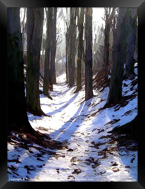 Winter Trees Framed Print by Trevor Butcher