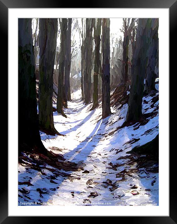 Winter Trees Framed Mounted Print by Trevor Butcher