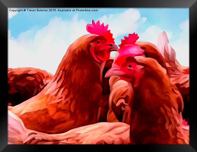 The Chickens Framed Print by Trevor Butcher