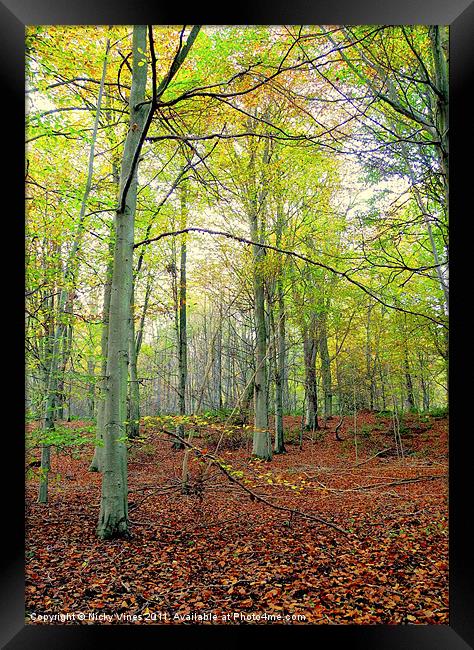 Autumn wood Framed Print by Nicky Vines