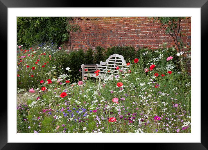 Bench and Wildflowers Framed Mounted Print by Mark Harrop