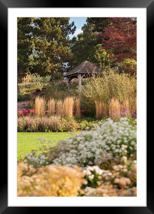 Autumn Garden Framed Mounted Print by Mark Harrop