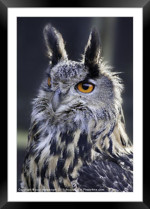 Gandalf the Eagle Owl Framed Mounted Print by Paul Messenger